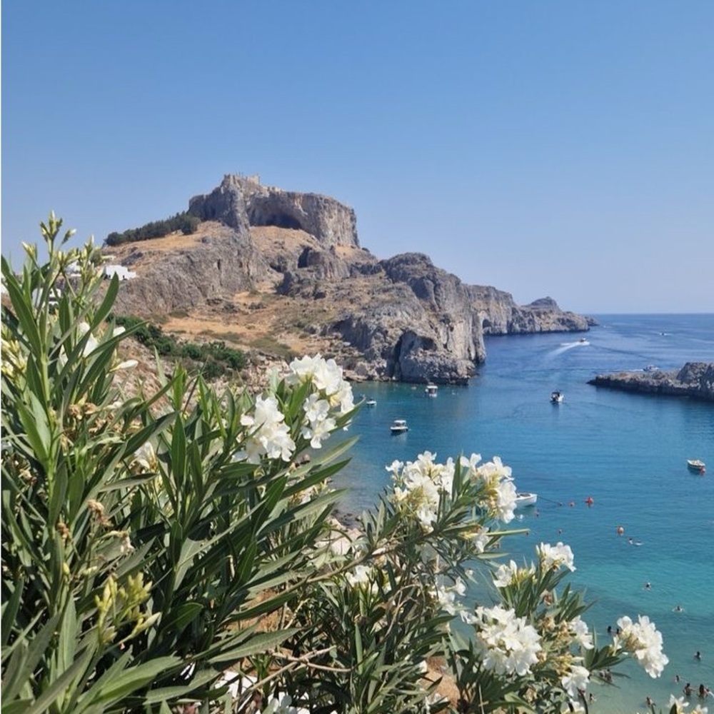 Meet your Posher, Alex! 🦋